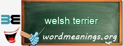 WordMeaning blackboard for welsh terrier